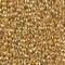 Miyuki 8 Round Seed Bead, 8-191, 24kt Gold Plated (Like DB 31), 10 grams